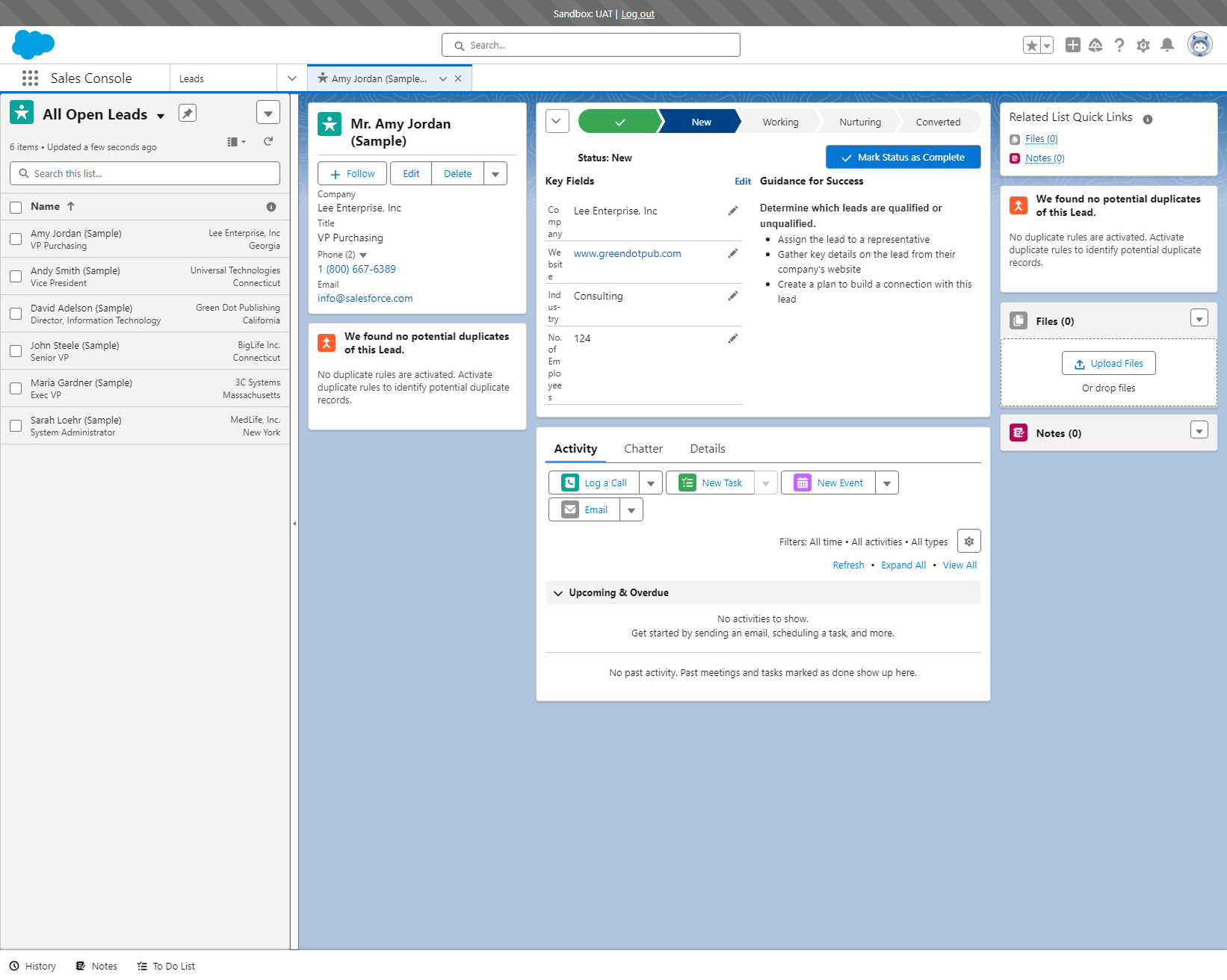 Salesforce Sales Console — standard lead view showing the multi-panel layout agents navigate daily