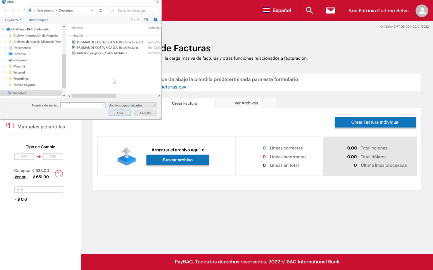 Paso 02 — System file picker dialog for CSV selection